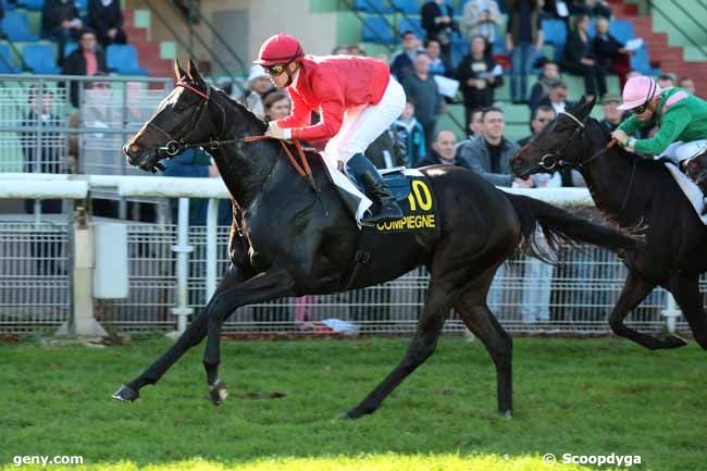 27/10/2014 - Compiègne - Prix de la Bourdelotte : Result