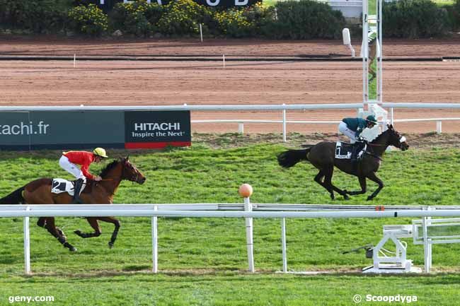 30/12/2015 - Cagnes-sur-Mer - Prix de l'Aquitaine : Ankunft