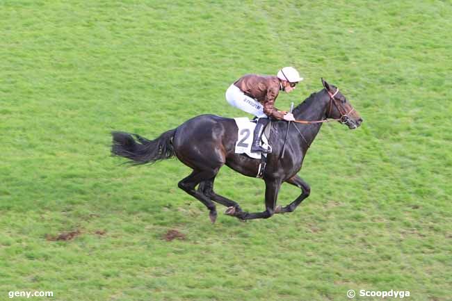 18/11/2016 - Saint-Cloud - Prix la Sega : Ankunft