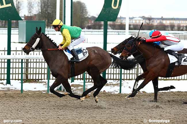 31/01/2019 - Chantilly - Prix de la Mare Madame : Arrivée