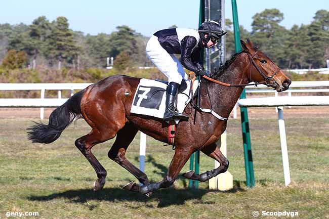 27/02/2019 - Fontainebleau - Prix des Daguets : Result