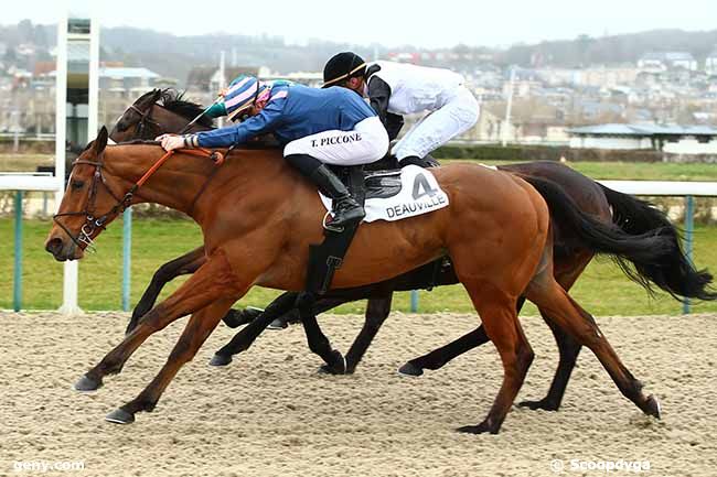 01/03/2019 - Deauville - Prix de Saint-Julien-le-Faucon : Result