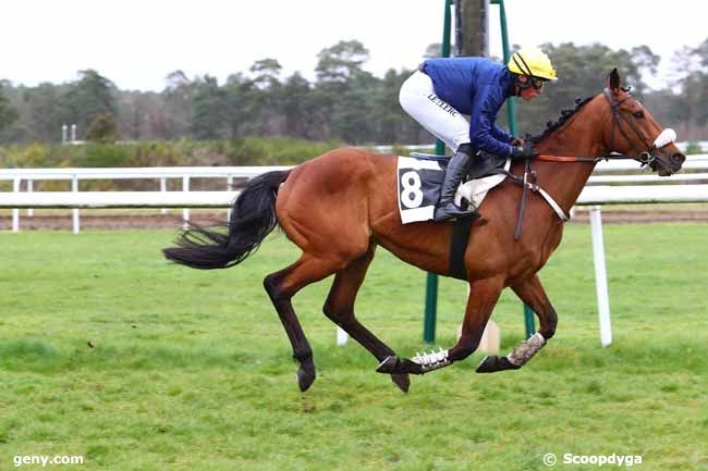 10/03/2020 - Fontainebleau - Prix de la Société des Courses du Pin : Arrivée