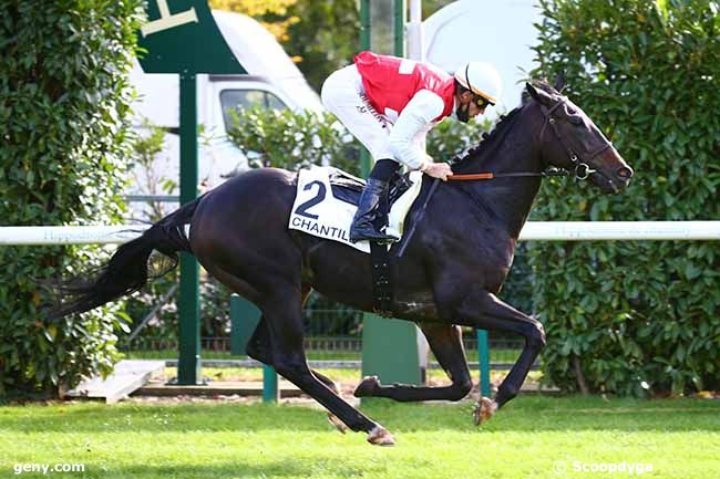 06/10/2020 - Chantilly - L'Express : Arrivée