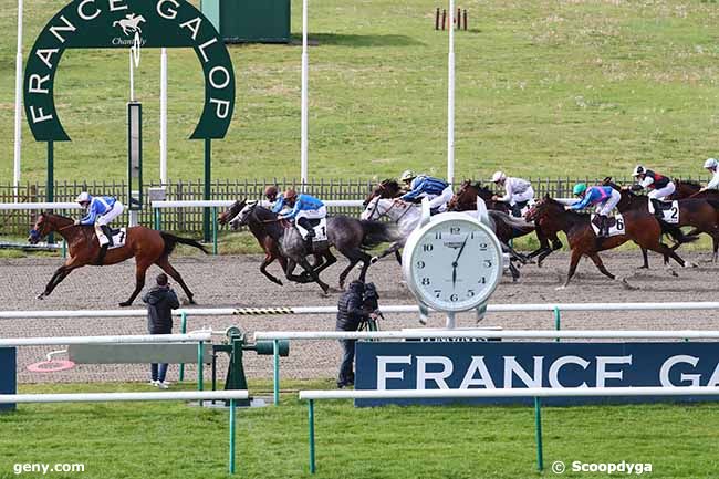 11/05/2021 - Chantilly - Prix de la Compagnie Equestre : Arrivée