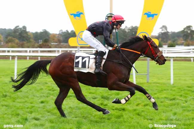 15/11/2022 - Fontainebleau - Prix Gérard de Marisy : Arrivée