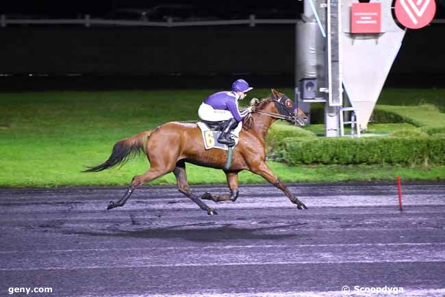 16/11/2023 - Vincennes - Prix de l'Ile d'Oléron : Arrivée