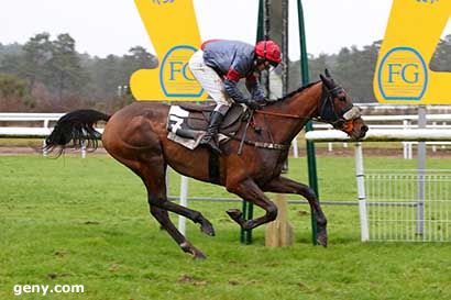 05/12/2023 - Fontainebleau - Prix des Lièvres : Arrivée