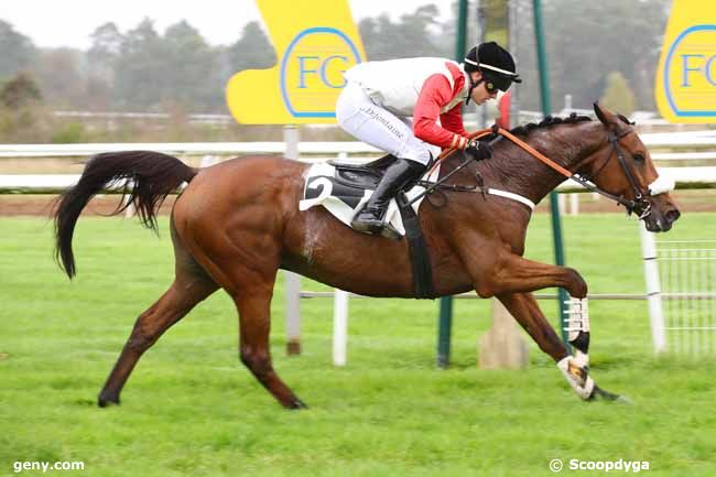 28/10/2024 - Fontainebleau - Prix Colonel Robert Labouche : Arrivée