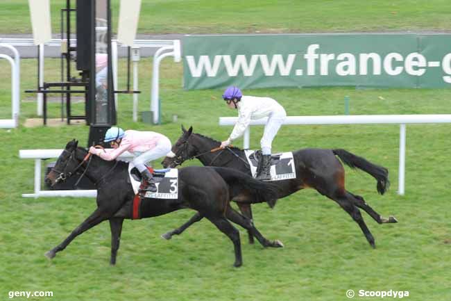 12/11/2010 - Maisons-Laffitte - Prix Urgence : Ankunft