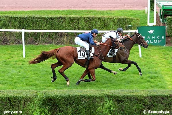 06/11/2013 - Enghien - Prix du Comtat Venaissin : Result