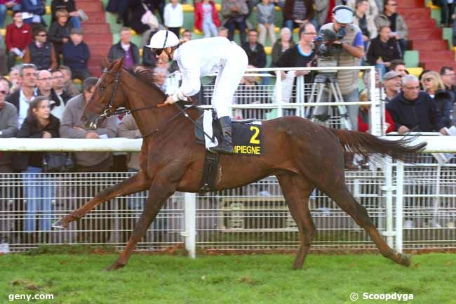 27/10/2014 - Compiègne - Prix de Jonquières : Ankunft