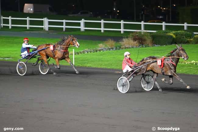 28/11/2014 - Vincennes - Prix Mércator : Arrivée