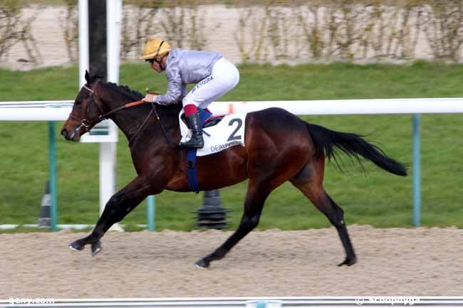 04/03/2016 - Deauville - Prix d'Aurigny : Arrivée