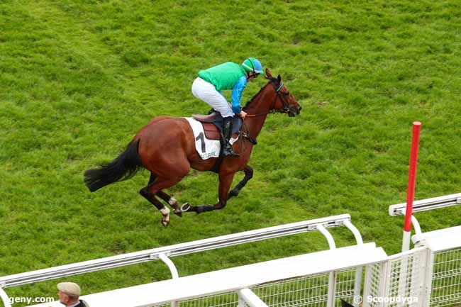 27/05/2016 - Auteuil - Prix de Saint-Germain : Ankunft