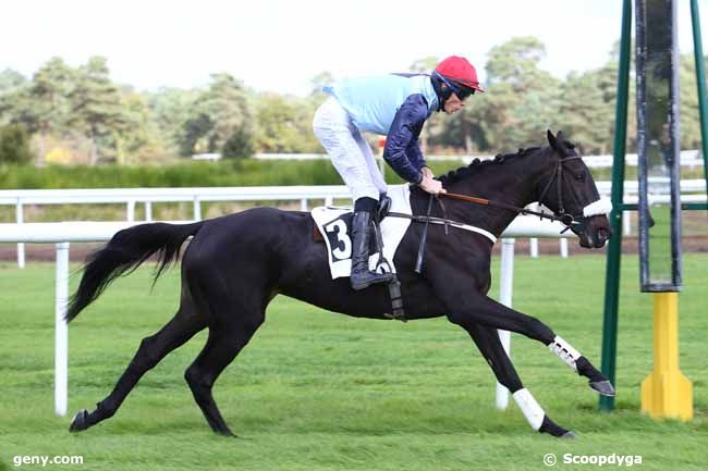 18/10/2016 - Fontainebleau - Prix d'Ury : Arrivée