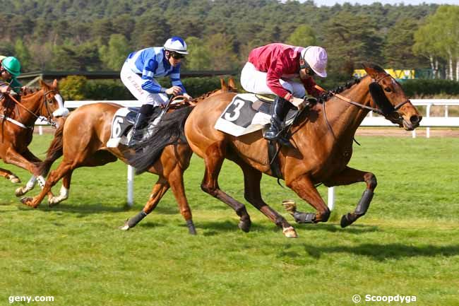 14/04/2017 - Fontainebleau - Prix Cabaret Masson : Arrivée