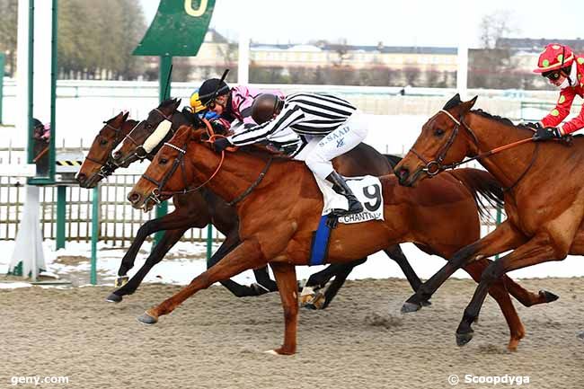 31/01/2019 - Chantilly - Prix de la Route des Fermettes : Arrivée