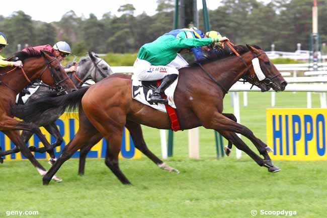 07/09/2019 - Fontainebleau - Prix Lepatre le Châtelet-en-Brie : Ankunft