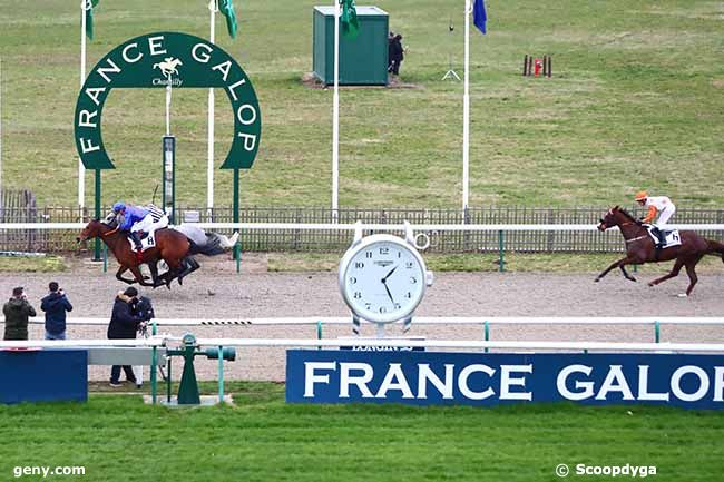 08/02/2020 - Chantilly - Prix de la Route des Princes : Arrivée