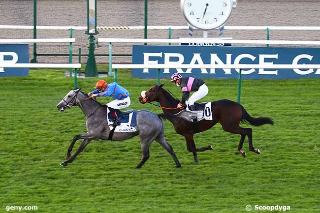 06/10/2020 - Chantilly - Prix du Grand Cabinet d'Angle : Ankunft