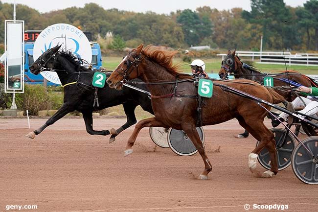 15/11/2021 - Bordeaux-Le Bouscat - Prix Jean-François Maury : Arrivée