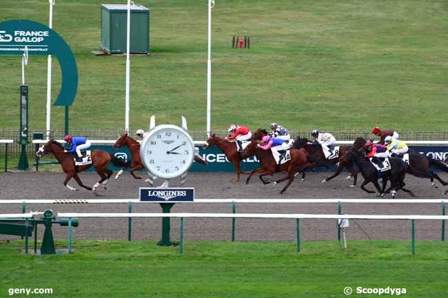 14/11/2023 - Chantilly - Prix du Salon d'Orléans : Arrivée