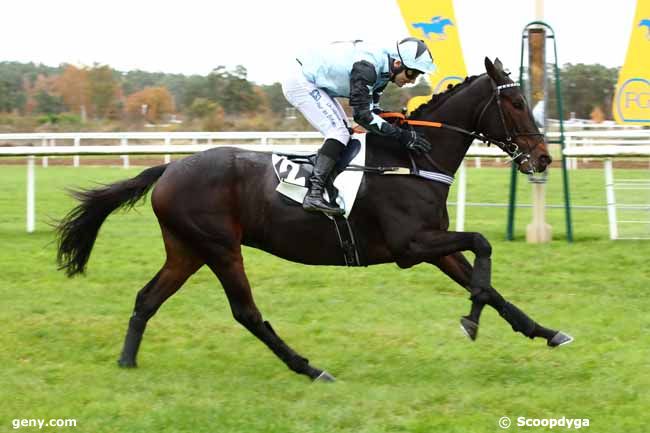 15/11/2023 - Fontainebleau - Prix du Debucher : Arrivée