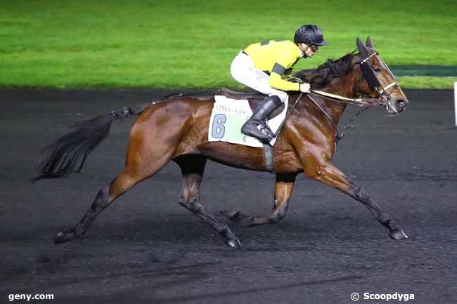 16/11/2023 - Vincennes - Prix Albert Libeer : Arrivée