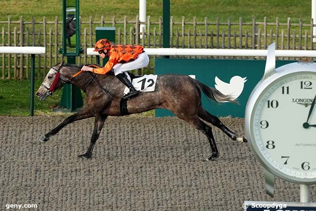 12/12/2023 - Chantilly - Prix du Poteau du Gateau : Arrivée