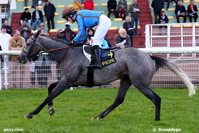 11/10/2024 - Compiègne - Prix Annie Donguy : Arrivée