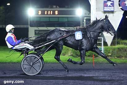 25/10/2024 - Vincennes - Prix Bellona : Arrivée