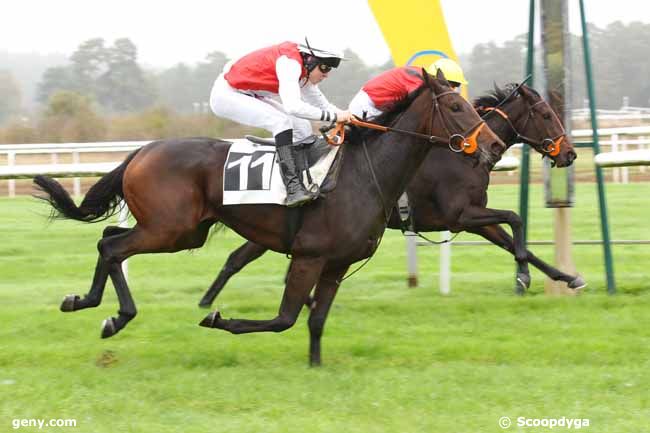 28/10/2024 - Fontainebleau - Prix Patrice Quenedey : Arrivée