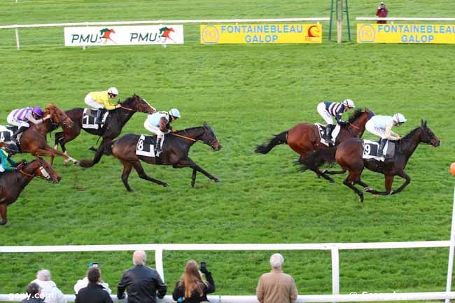 04/11/2024 - Fontainebleau - Prix des Erables : Arrivée