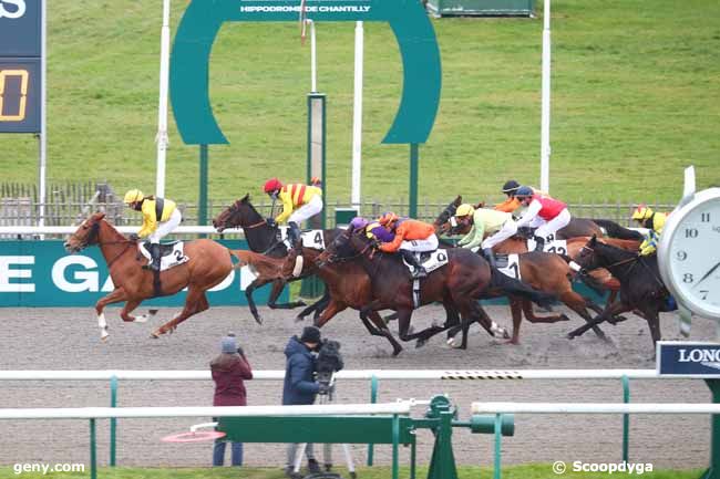 12/12/2024 - Chantilly - Prix des Jardins Familiaux : Arrivée