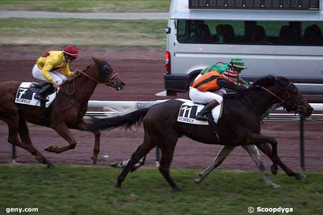 25/11/2010 - Marseille-Borély - Prix Gérard Bigeni : Result