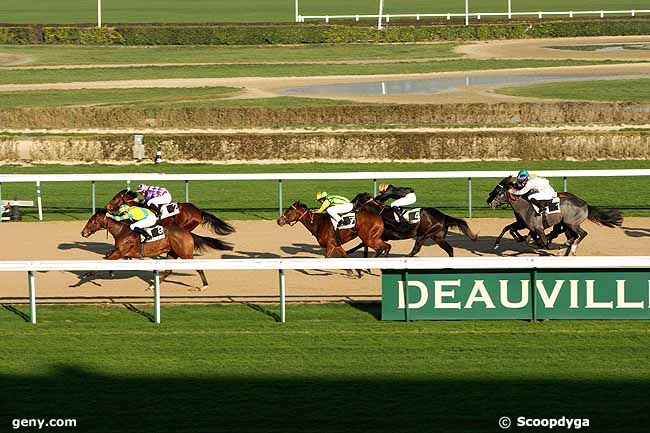 27/12/2011 - Deauville - Prix de Boitron : Arrivée