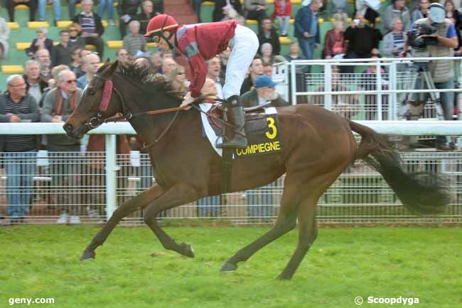 27/10/2014 - Compiègne - Prix des Neuf Fontaines : Ankunft