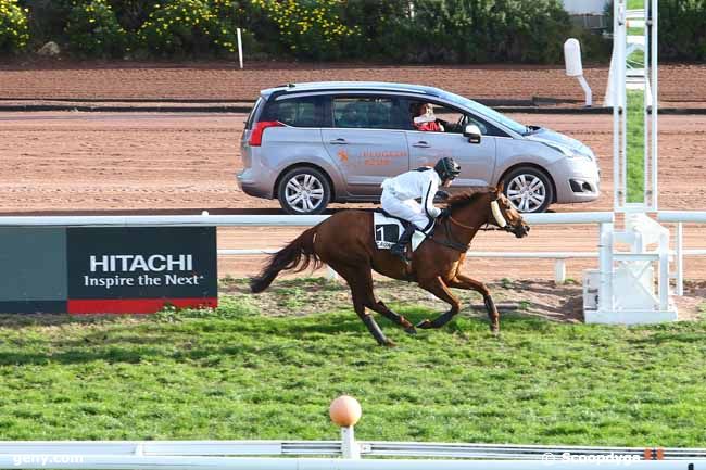 30/12/2015 - Cagnes-sur-Mer - Prix de la Bretagne : Result