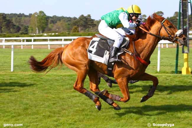 14/04/2017 - Fontainebleau - Prix des Bruyères : Arrivée