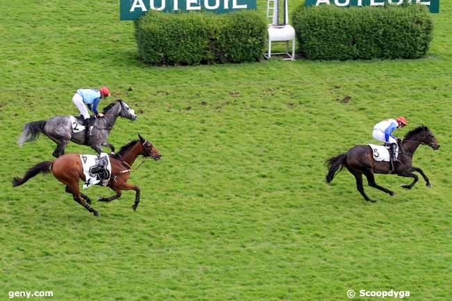 05/05/2017 - Auteuil - Prix Andrèa : Arrivée