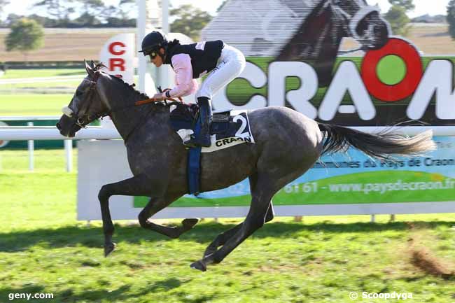 24/09/2018 - Craon - Prix Pigeon Tp Loire-Anjou - Prix de Champagne : Arrivée