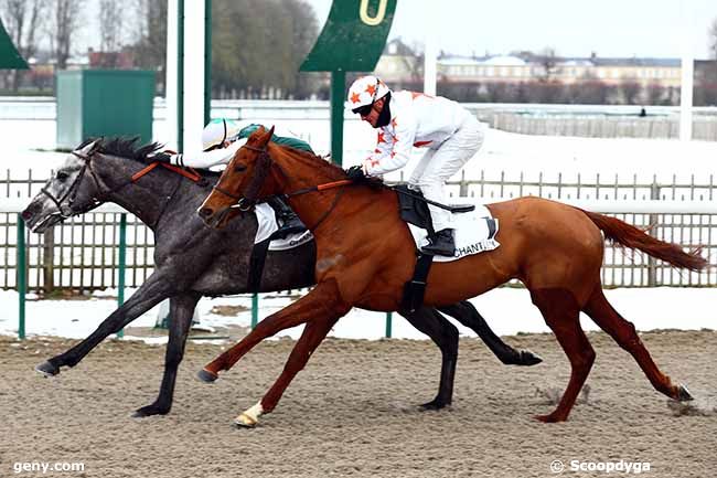 31/01/2019 - Chantilly - Prix du Carrefour des Hautes Coutumes : Arrivée