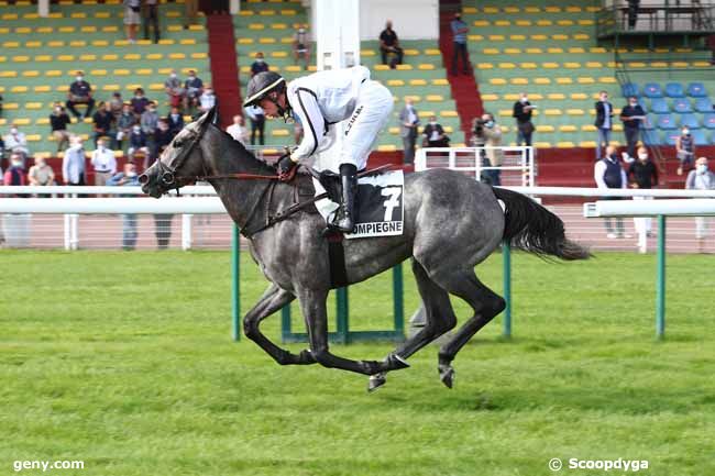 10/09/2020 - Compiègne - Steeple-Chase de Début : Arrivée