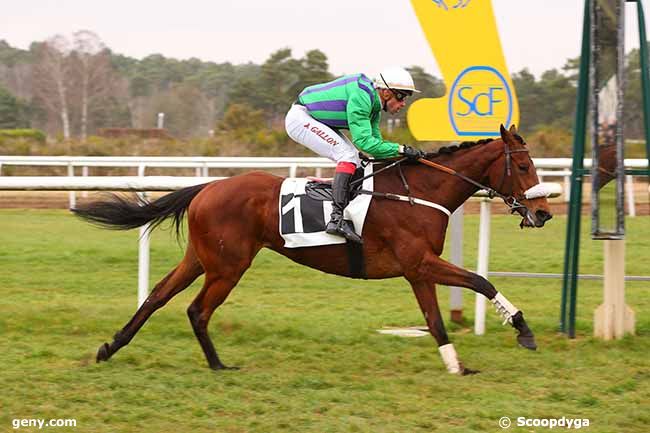 15/03/2022 - Fontainebleau - Prix de Dammarie les Lys : Arrivée