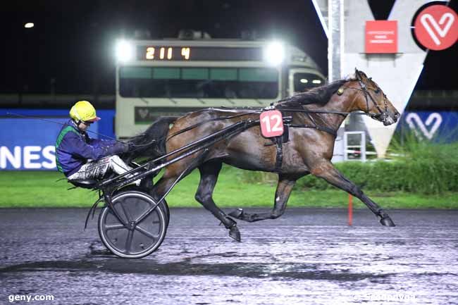 15/11/2022 - Vincennes - Prix Siwa : Arrivée