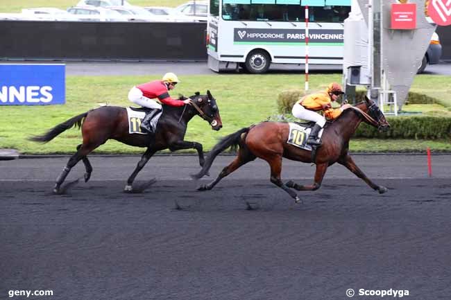 09/11/2023 - Vincennes - Prix de Savigny-sur-Braye : Arrivée