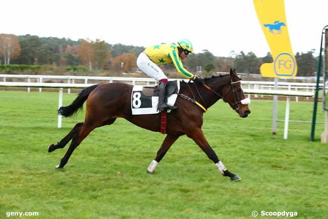 15/11/2023 - Fontainebleau - Prix Gerard de Marisy : Arrivée