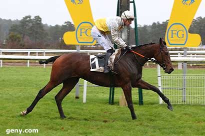 05/12/2023 - Fontainebleau - Prix du Pave du Roy : Arrivée