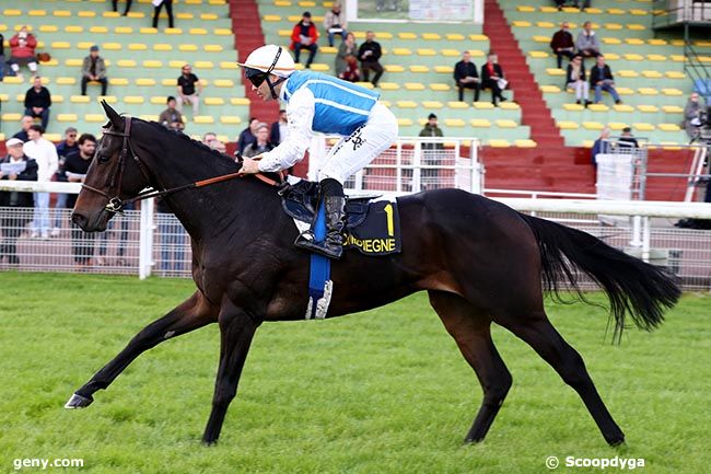 11/10/2024 - Compiègne - Prix des Tambouraines : Arrivée